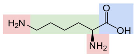 Biochemie Lerntipps Strukturformeln farblich