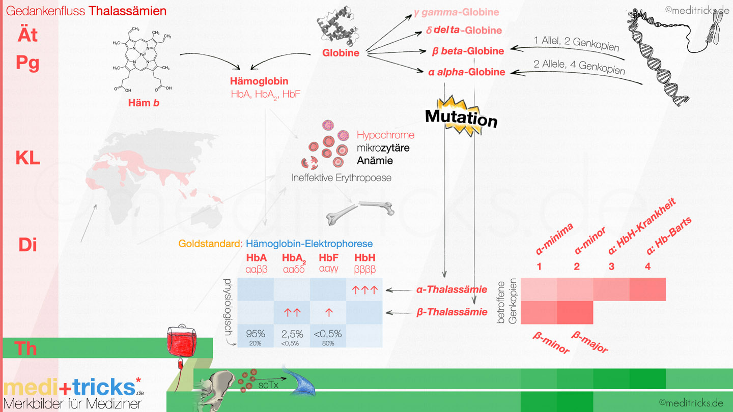 Abbildung von meditricks.de