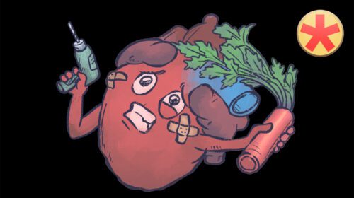 AHF 2: Gemeinsamkeiten