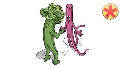 Bindegewebe 1: Zellen & Fasern der Extrazellulärmatrix