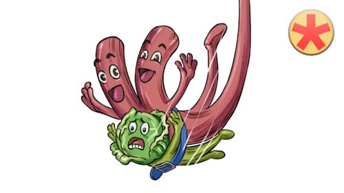 Bindegewebe 3: Gewebetypen