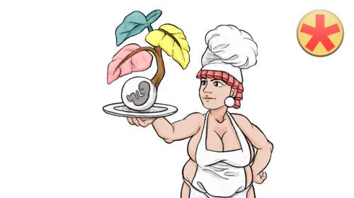 Embryogenese 2: Von der zwei- zur dreiblättrigen Keimscheibe