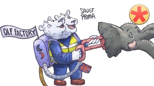 Geruchssinn 1: Riechschleimhaut