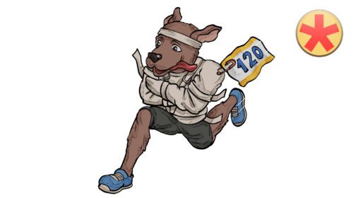 Nervengewebe 4: Nervenfaserklassen