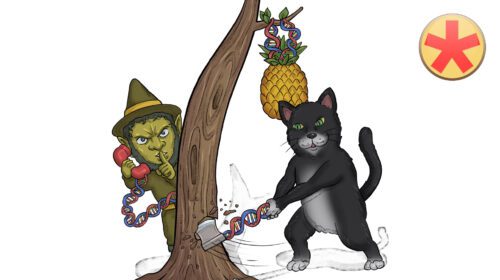 Haut 2: Hautanhangsgebilde