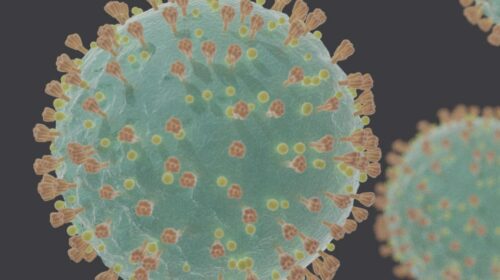 COVID-19 Virus