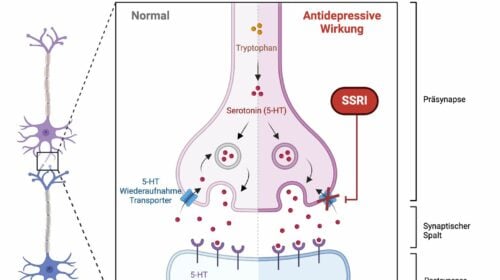 Wirkmechanismus SSRI