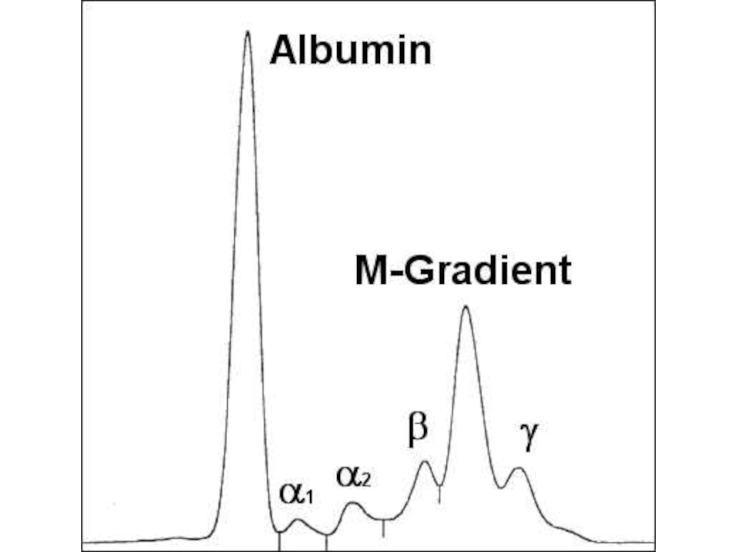 M-Gradient