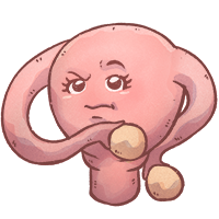 Gynäkologie lernen mit den Eselsbrücken von Meditricks.de