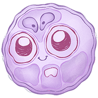 Histologie lernen mit den Eselsbrücken von Meditricks.de