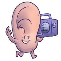 HNO lernen mit den Eselsbrücken von Meditricks.de