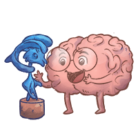 Neuroanatomie lernen mit den Eselsbrücken von Meditricks.de