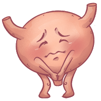 Urologie lernen mit den Eselsbrücken von Meditricks.de