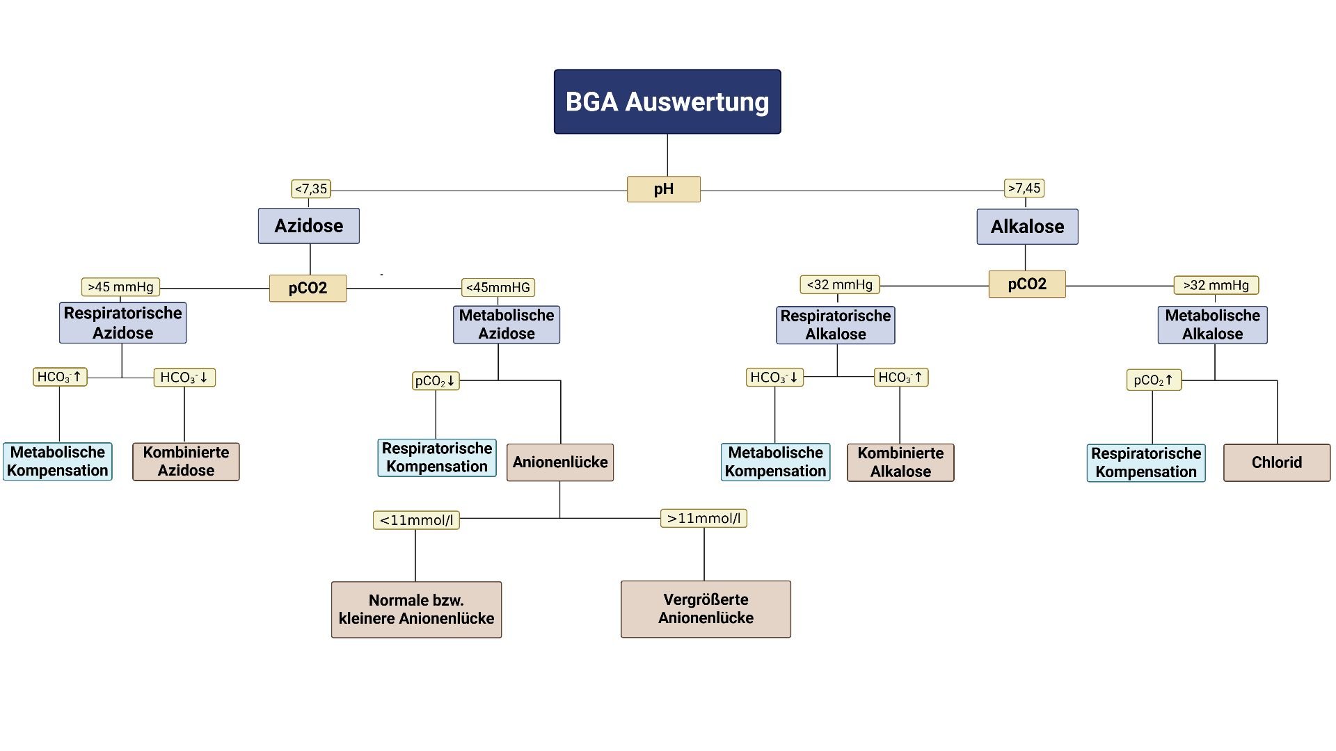 BGA Auswertung