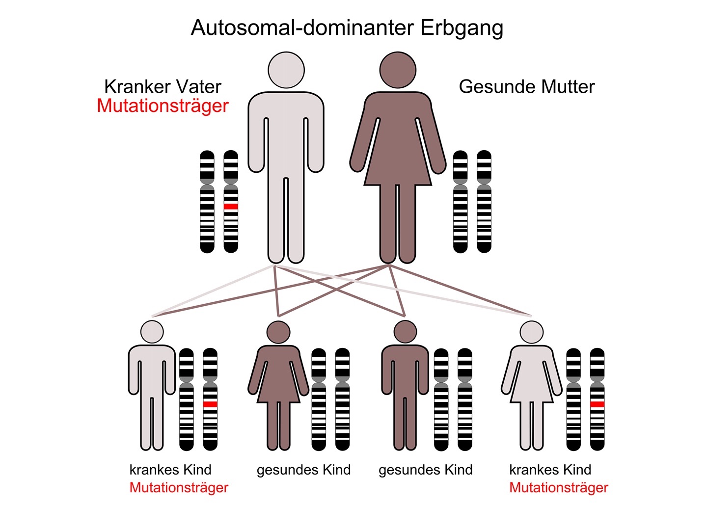 Erbgang Chorea Huntington