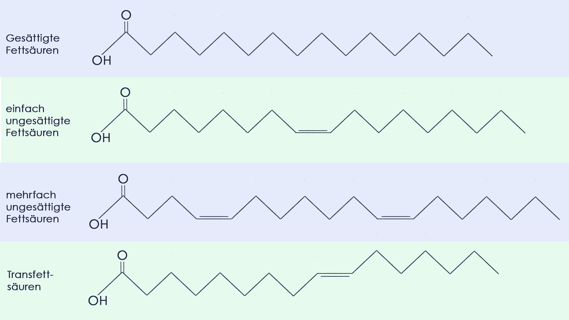 gesättigte und ungesättigte Fettsäuren
