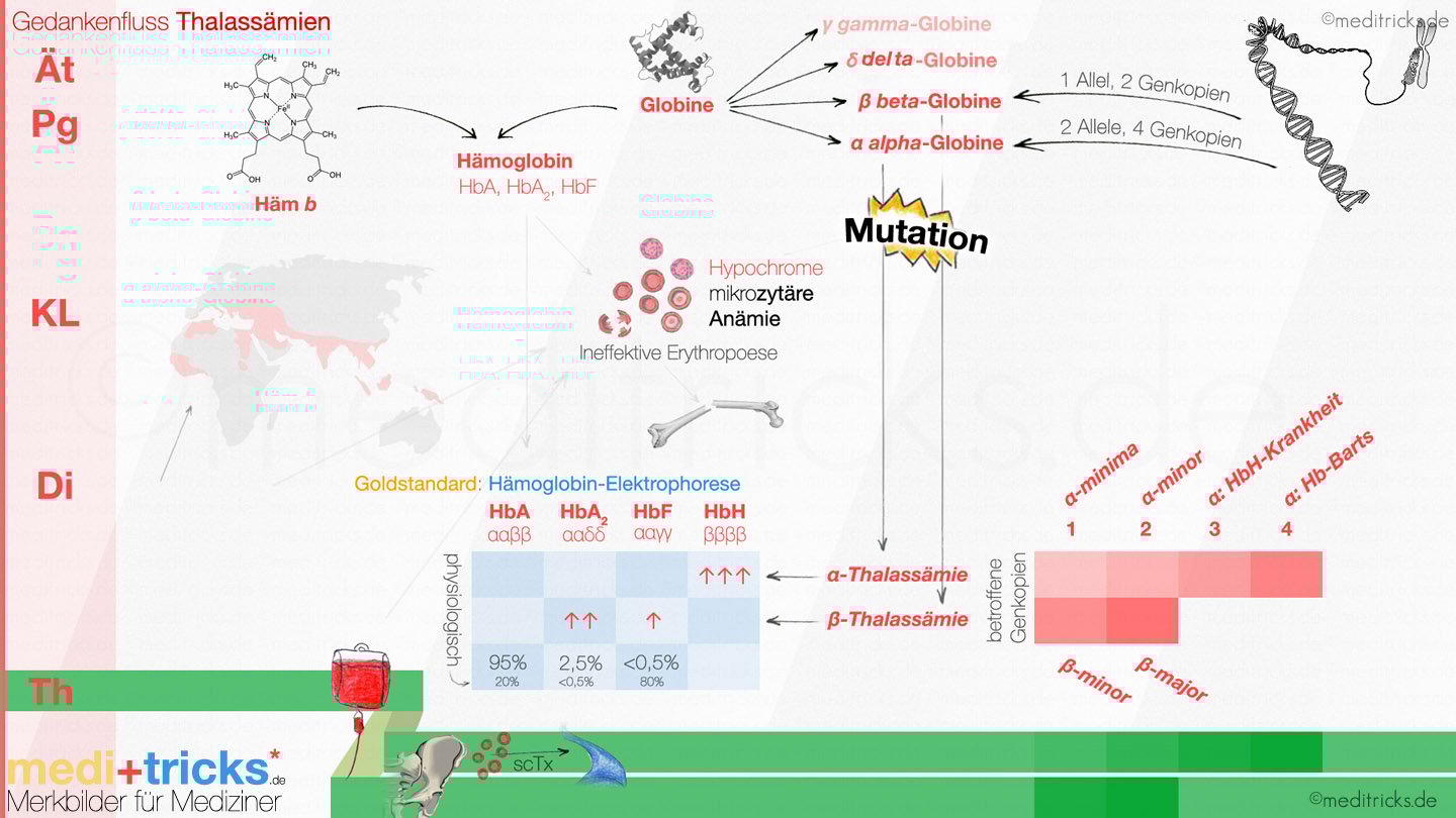 Abbildung von meditricks.de