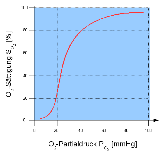 Biochemie richtig lernen: Diagramme verbalisieren – die Sauerstoffbindungskurve