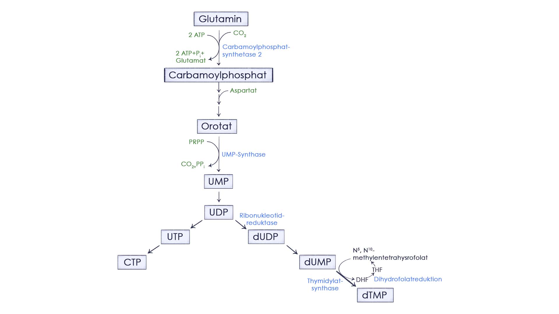Pyrimidinsynthese