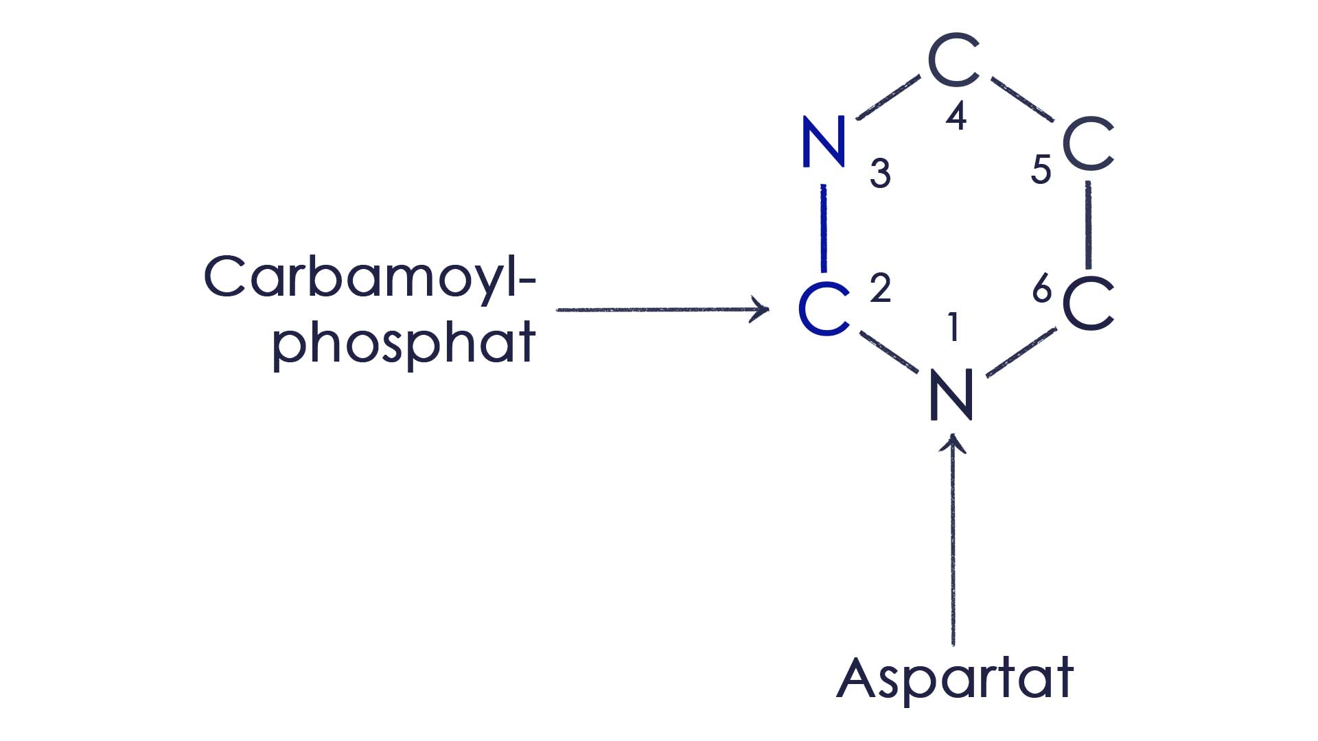 Pyrimidin