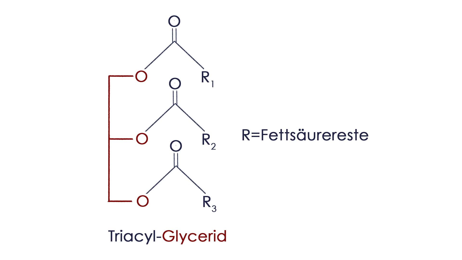 Triacylglyzeride