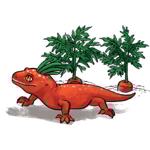 Blutversorgung des Gehirns von Meditricks.de