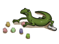 Humangenetik lernen mit den Eselsbrücken von Meditricks.de