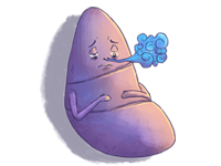 Atmung lernen mit den Eselsbrücken von Meditricks.de