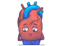 Herz-Kreislauf-System lernen mit den Eselsbrücken von Meditricks.de