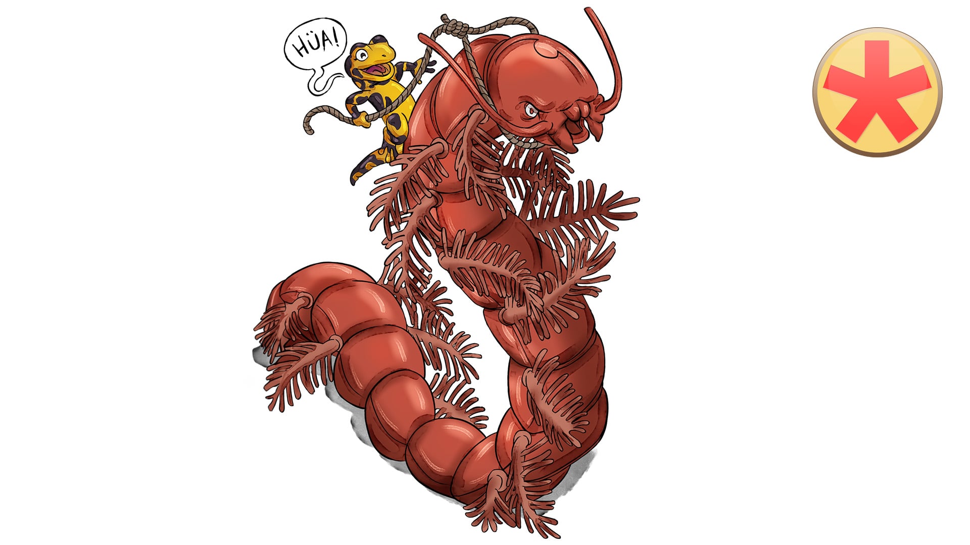 Bindegewebe 2: GAGs, Proteoglykane und Glykoproteine der Extrazellulärmatrix Medizin lernen mit den Eselsbrücken von Meditricks.de