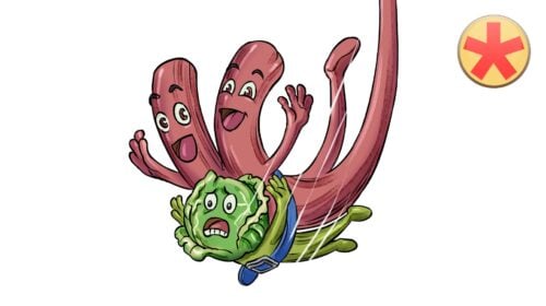 Bindegewebe 3: Gewebetypen