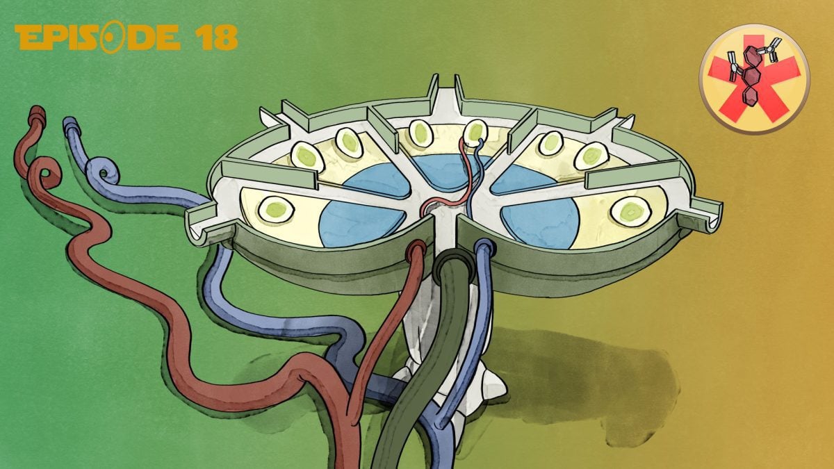 Adaptive Immunantwort lernen mit den Eselsbrücken von Meditricks.de