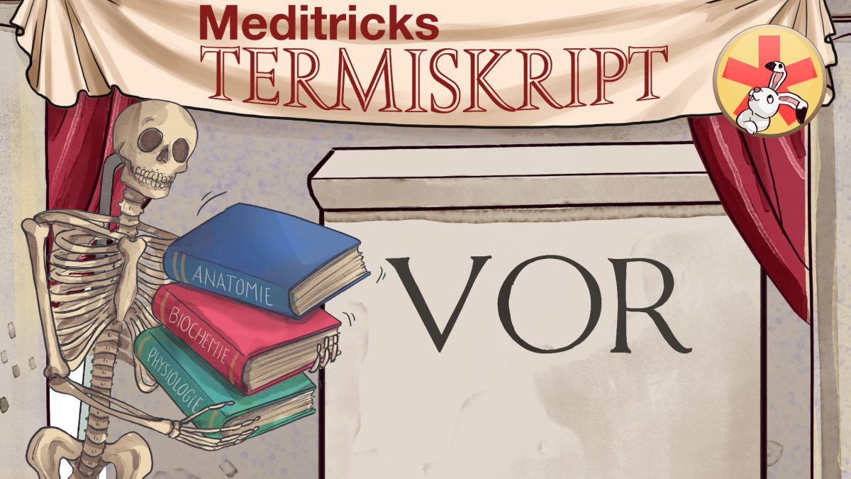 Terminologie lernen mit den Eselsbrücken von Meditricks.de