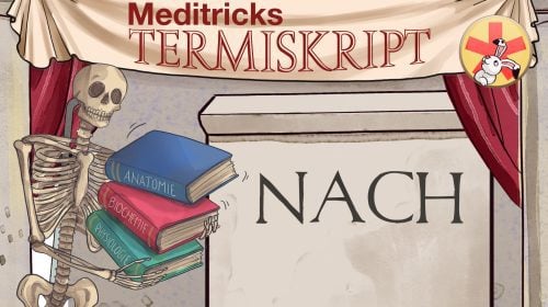 Termi 3: Nachsilben