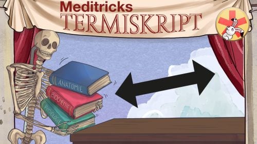 Terminologie lernen mit den Eselsbrücken von Meditricks.de