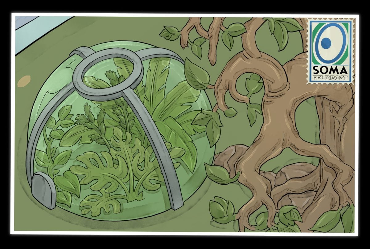 Immunologie merken mit Meditricks.de