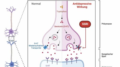 Wirkmechanismus SSRI